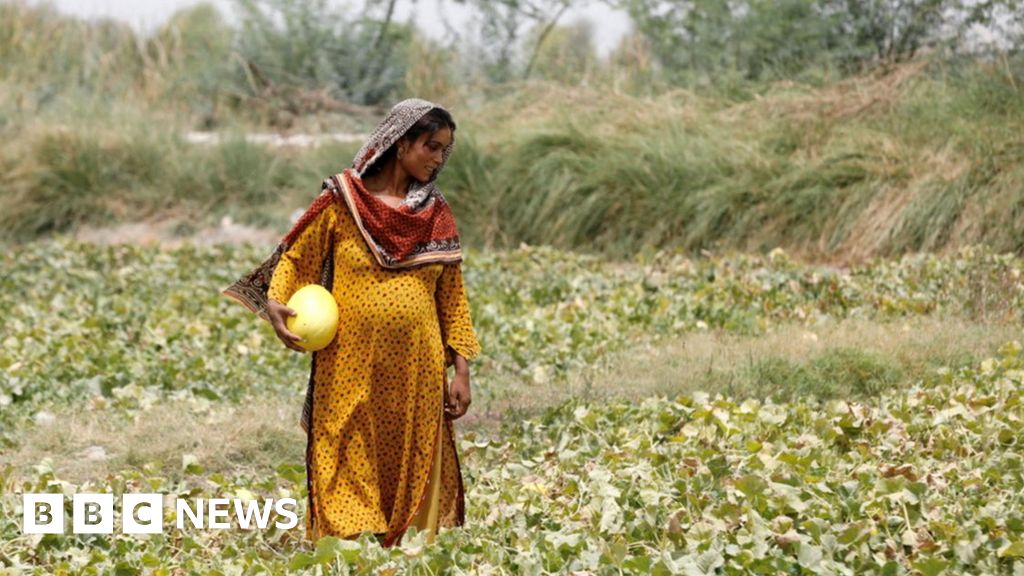 Native weather alternate: Affluent international locations accused of ‘betrayal’ at Bonn talks