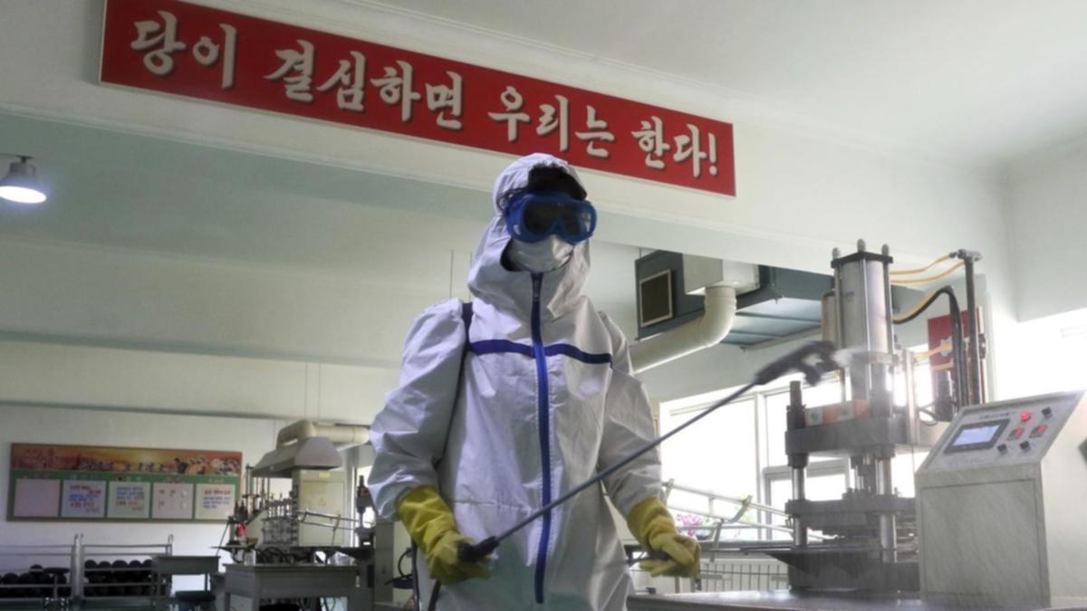 Intestinal illness outbreak: North Korea