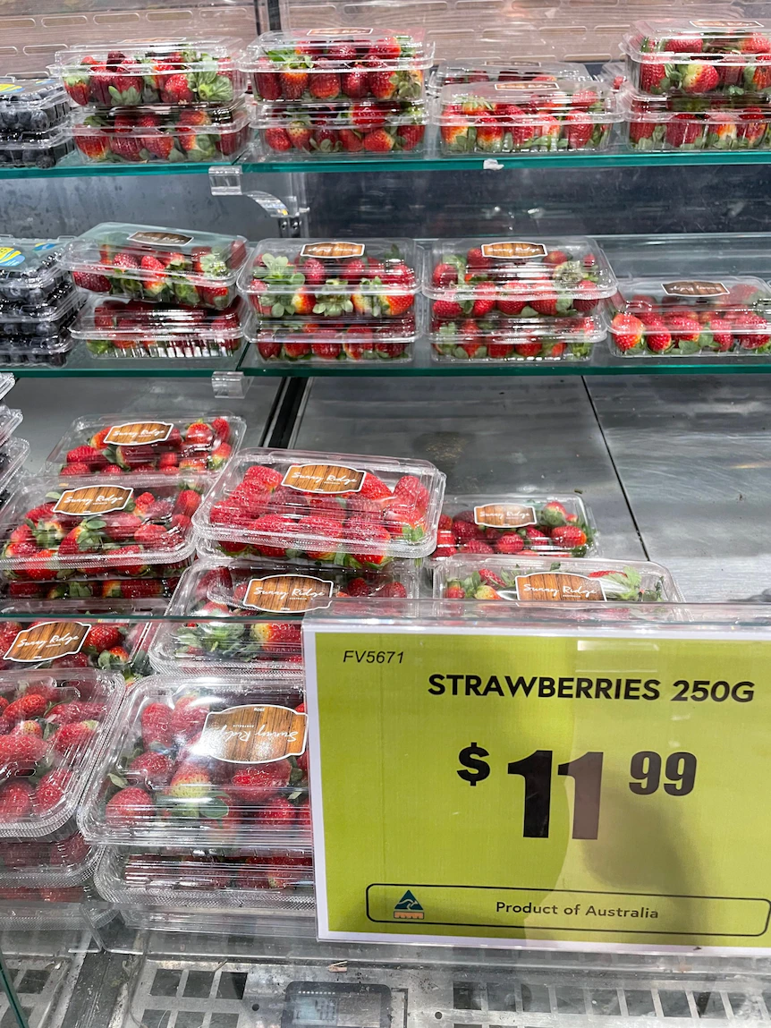 Strawberry prices hover to file highs as winter cut stalls