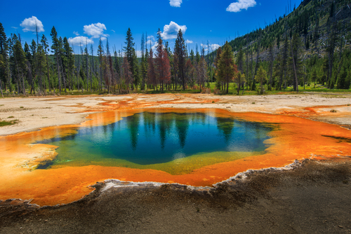 What Does a Year at Yellowstone Caldera Glance Love?