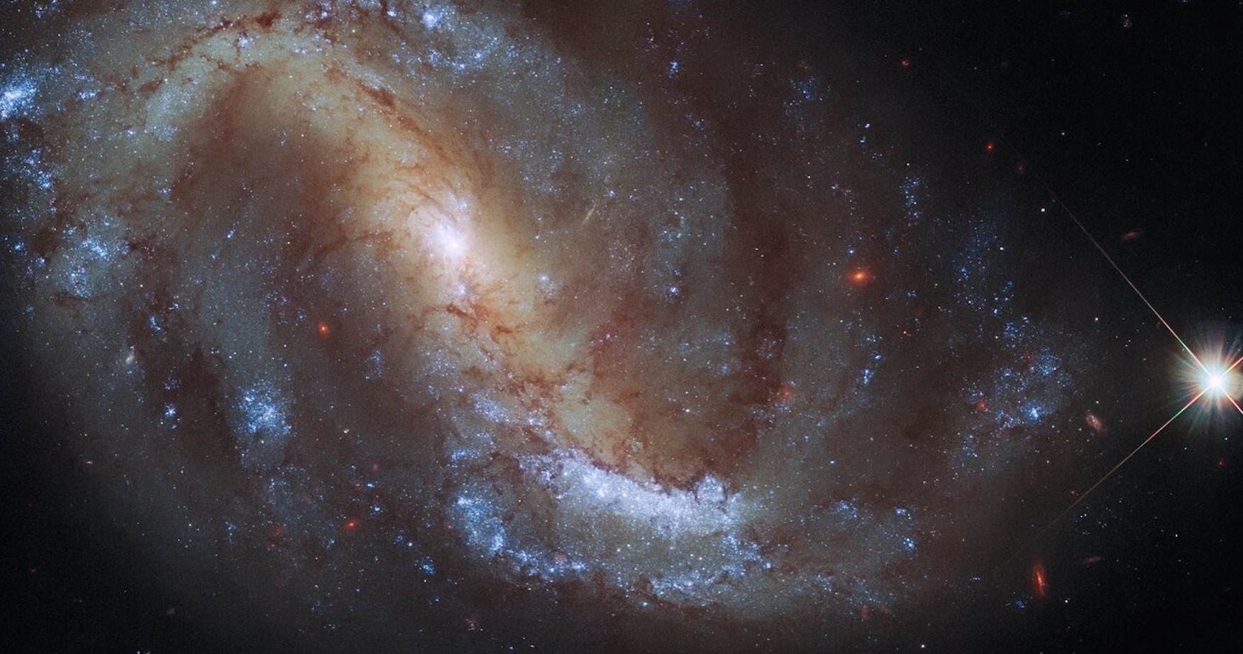 Hubble Pickle Telescope’s cosmic birdwatching finds a crane amid the stars