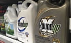 US must re-understand risks of glyphosate, key Roundup weed-killer ingredient