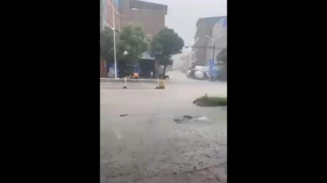 Netizens fragment videos of fishes swimming on Guwahati streets as floods sweep Assam