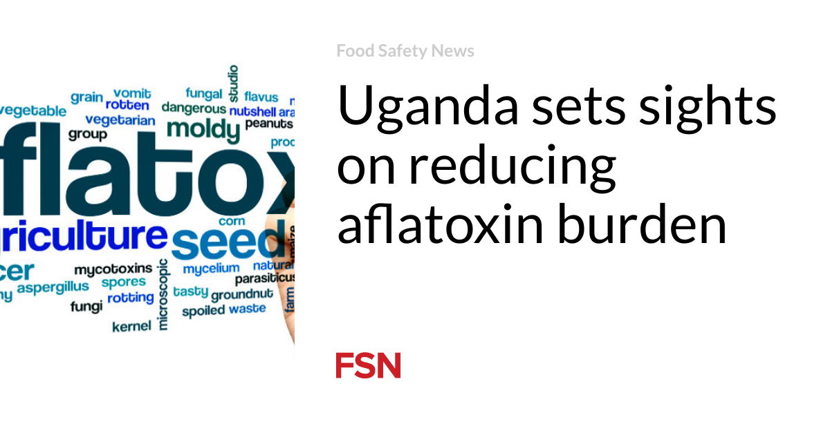 Uganda objects sights on reducing aflatoxin burden