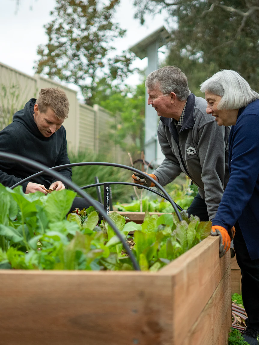 Neighborhood gardens provide free kind — and a chance to study new abilities — as rising costs chunk