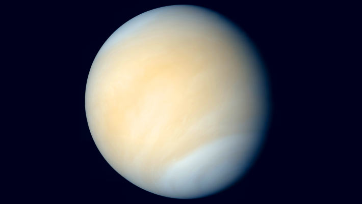 Sulfur-Metabolizing Aerial Existence Can now not Mutter Composition of Venus’ Atmosphere, Scientists Train