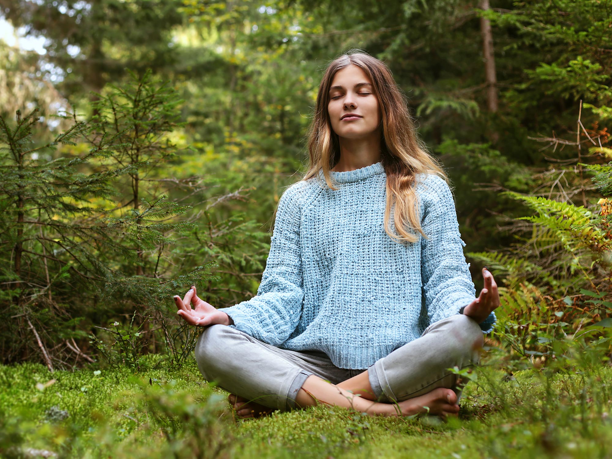 No Proof of Structural Mind Alternate From Brief-Term Meditation