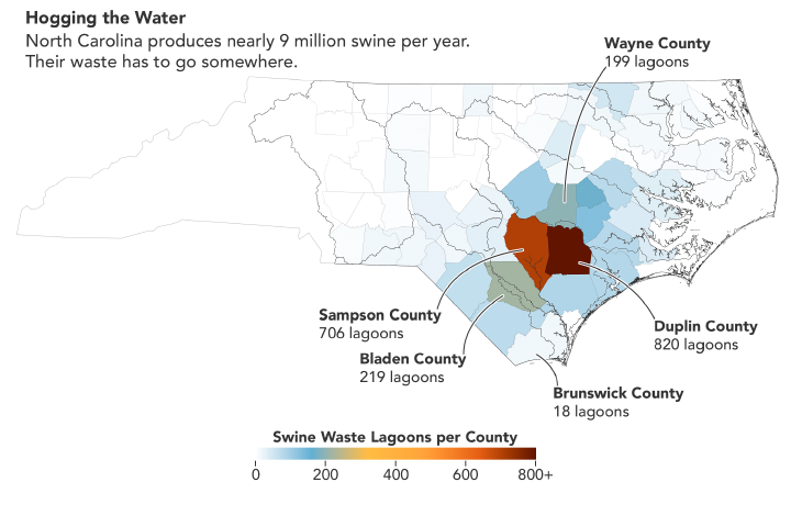 Frightful pig poop lagoons mapped from discipline (pictures)