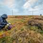 Investigating the dynamics that reshape permafrost environments