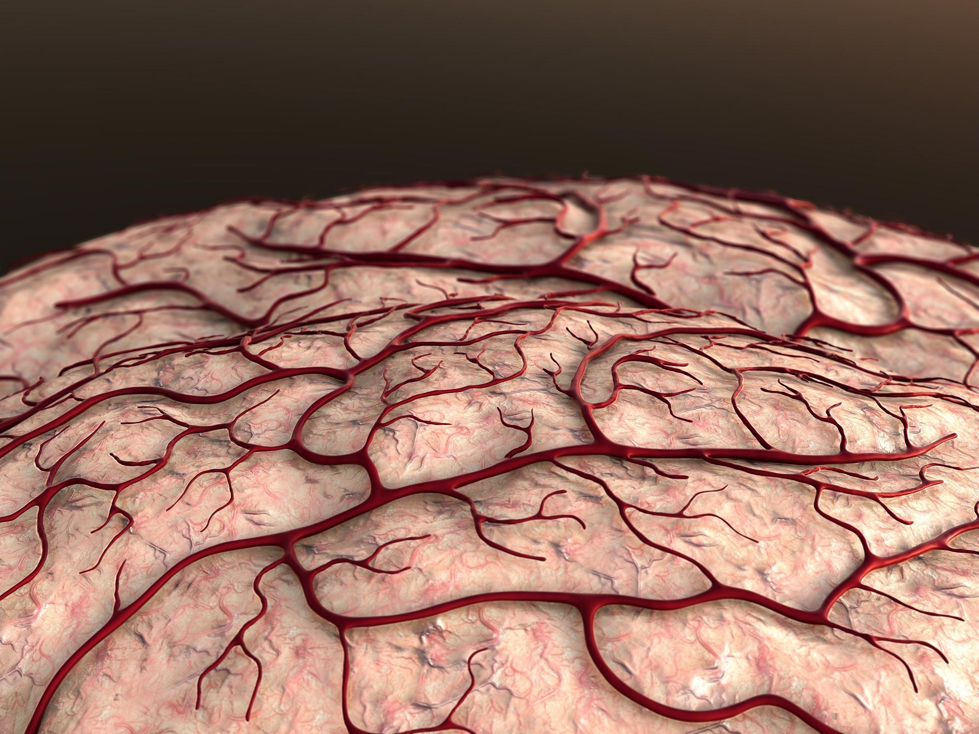 Stopping Memory Loss: Blood Vessel Breakthrough Predominant Step Against Alzheimer’s Remedy