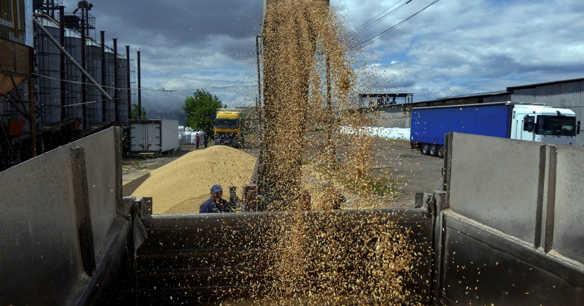 How Russia and Ukraine are vying to manipulate a need to-fetch grain routes