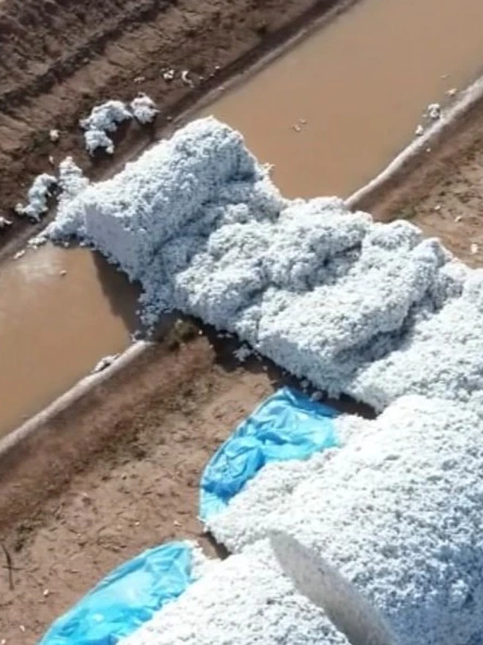 Cotton bales payment $1.3 million vandalised in ‘senseless’ act