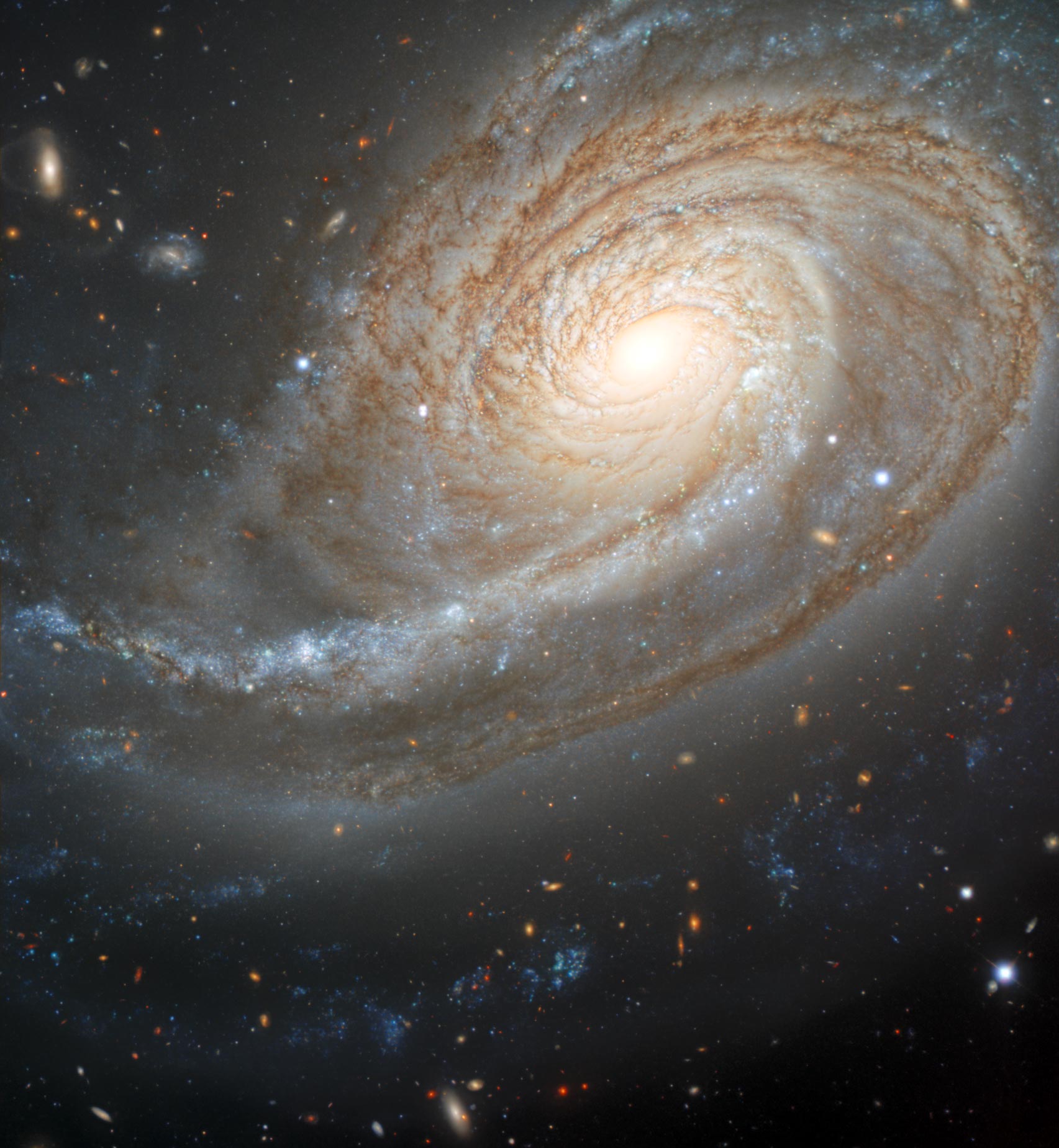 Atlas of Uncommon Galaxies: Strong-Arming a Galaxy