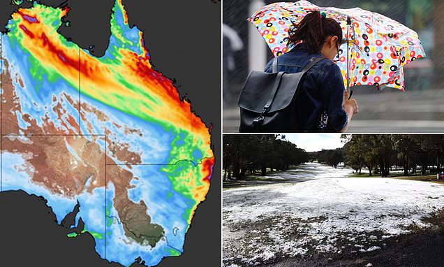 Australia’s east fly being deluged with rain right here is the weekend climate – On every day foundation Mail