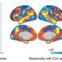 Cardiovascular menace components and low bodily smartly being related with decline in social cognitive functions