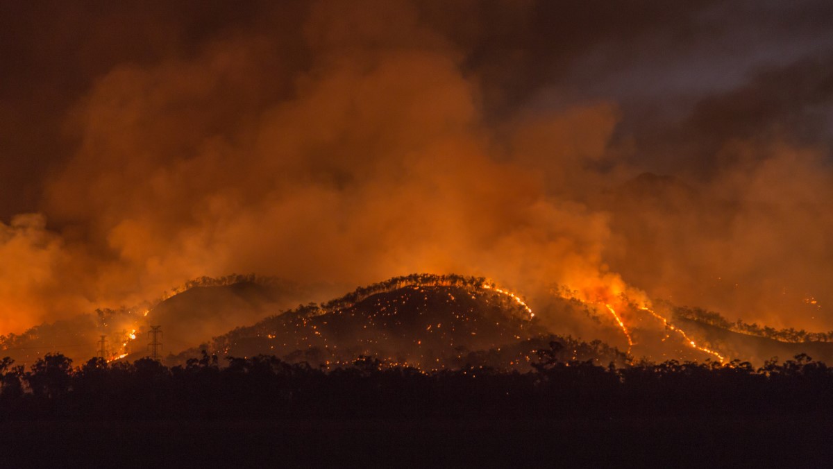 Australia’s fire season is 30 days longer: world stumble on – Cosmos