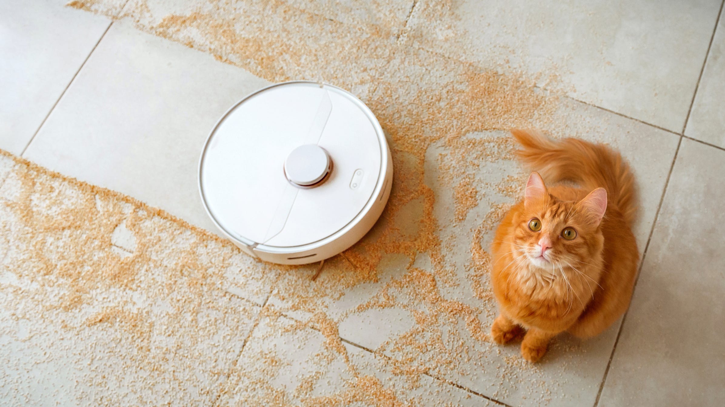 Ought to unexcited You Uncover a Robotic Vacuum Cleaner? 5 Things to Bear in mind