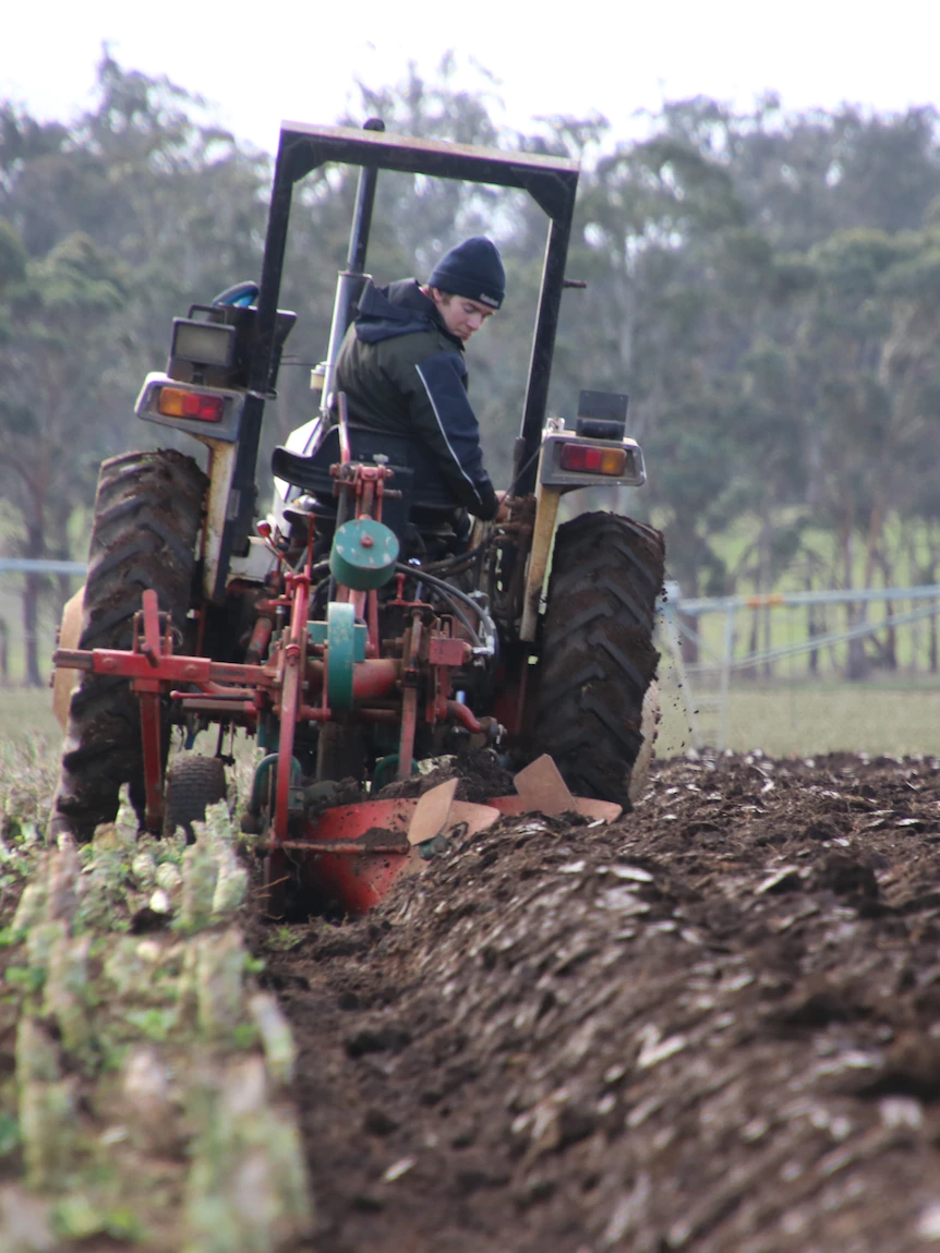 Competitive ploughing cuts it, the place ‘footy, soccer, cricket’ did not