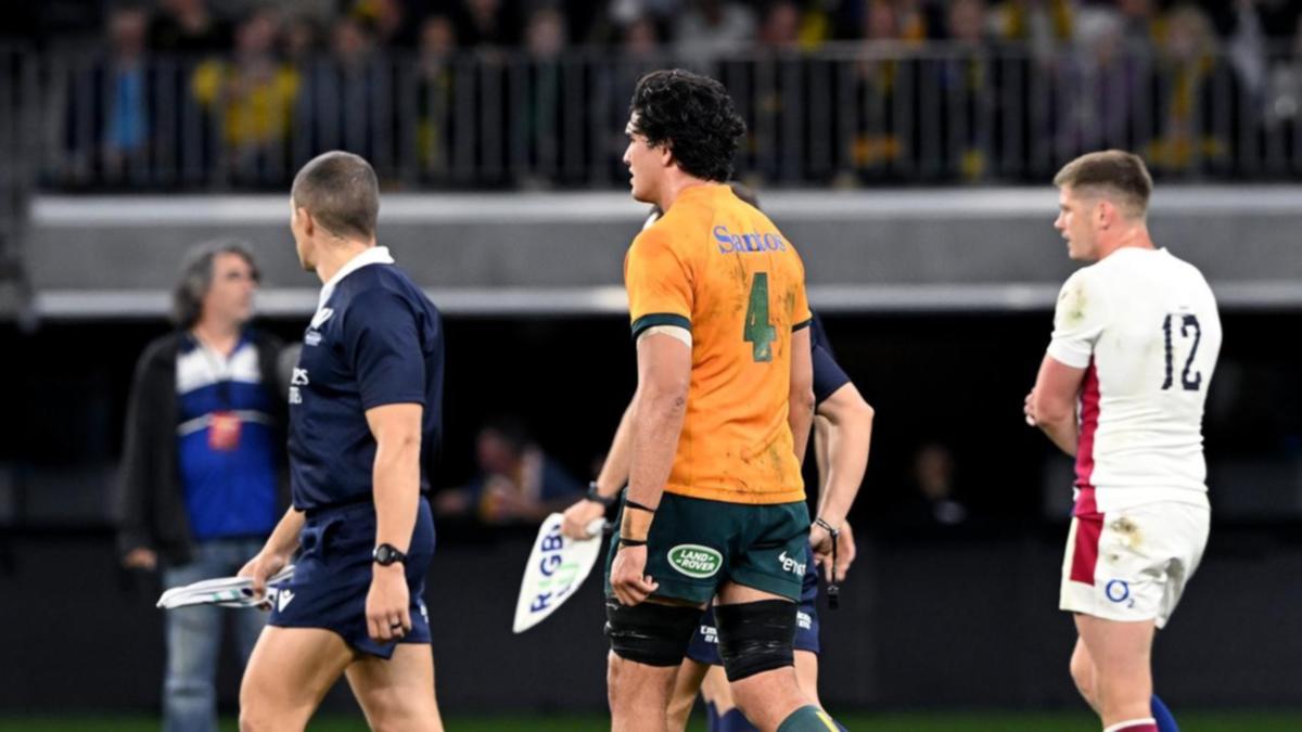 A transient peep on the Wallabies-England recreation