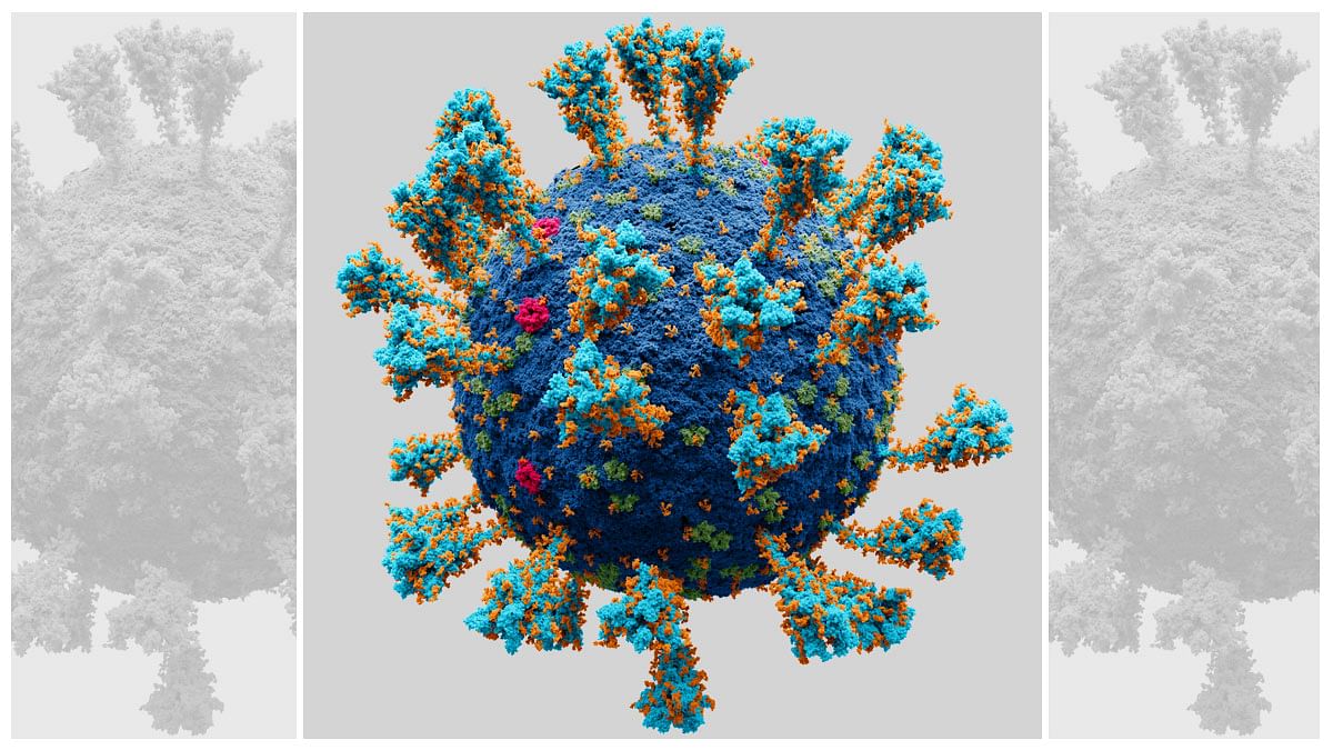 BA.2.75 — fresh Covid variant detected in India a mystery, but might per chance possibly ‘absorb immune-spoil out property’ – ThePrint