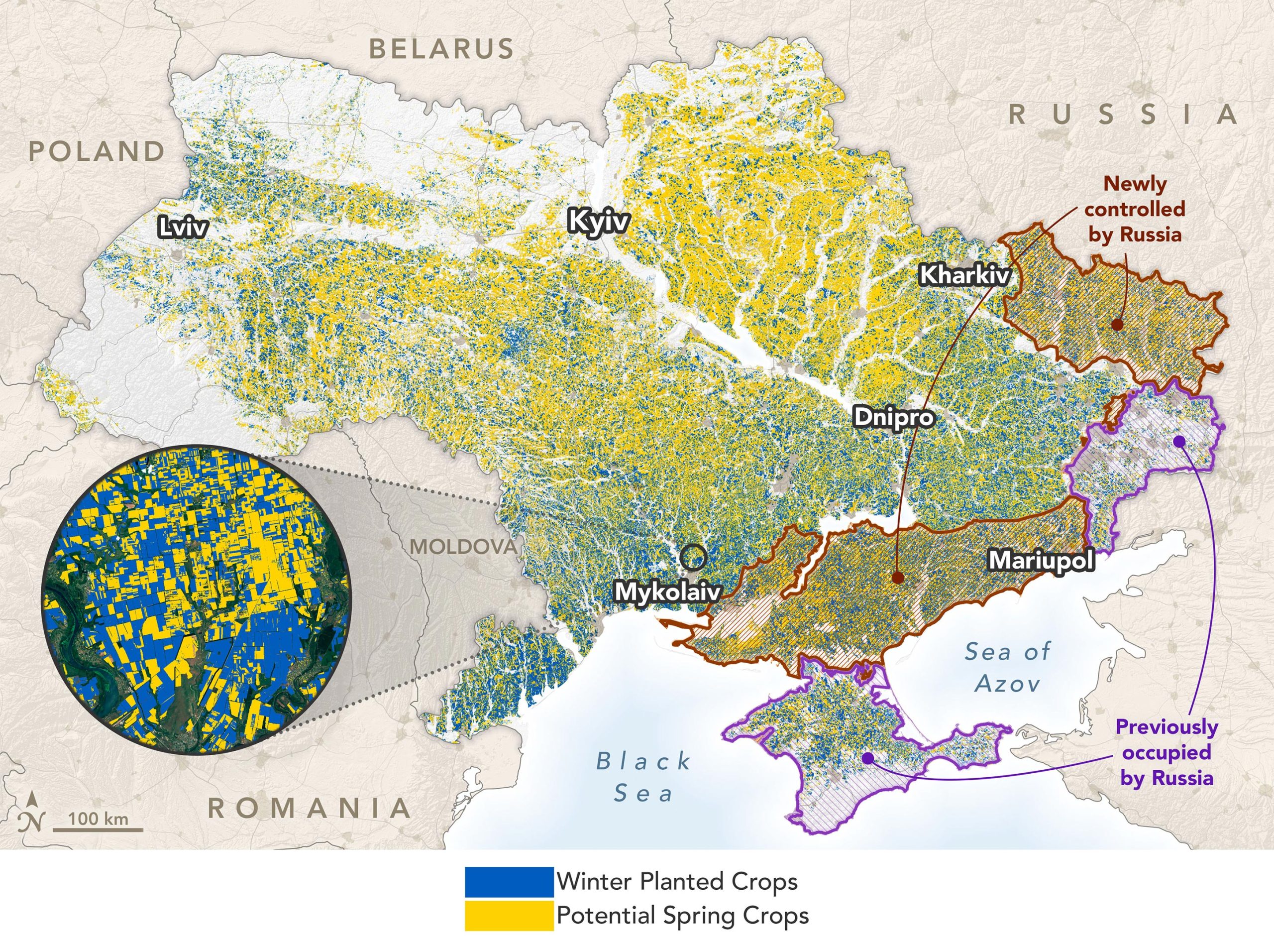 Russia-Ukraine War: Measuring Battle’s Attain on a International Breadbasket