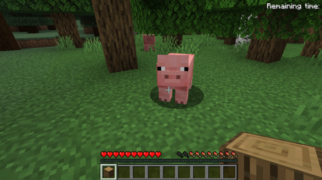 Minecraft Linux Distro How to Set up Minecraft on Ubuntu or Any Other Linux Distribution ...