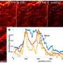 Frequency-arena STED microscopy for selective background noise suppression