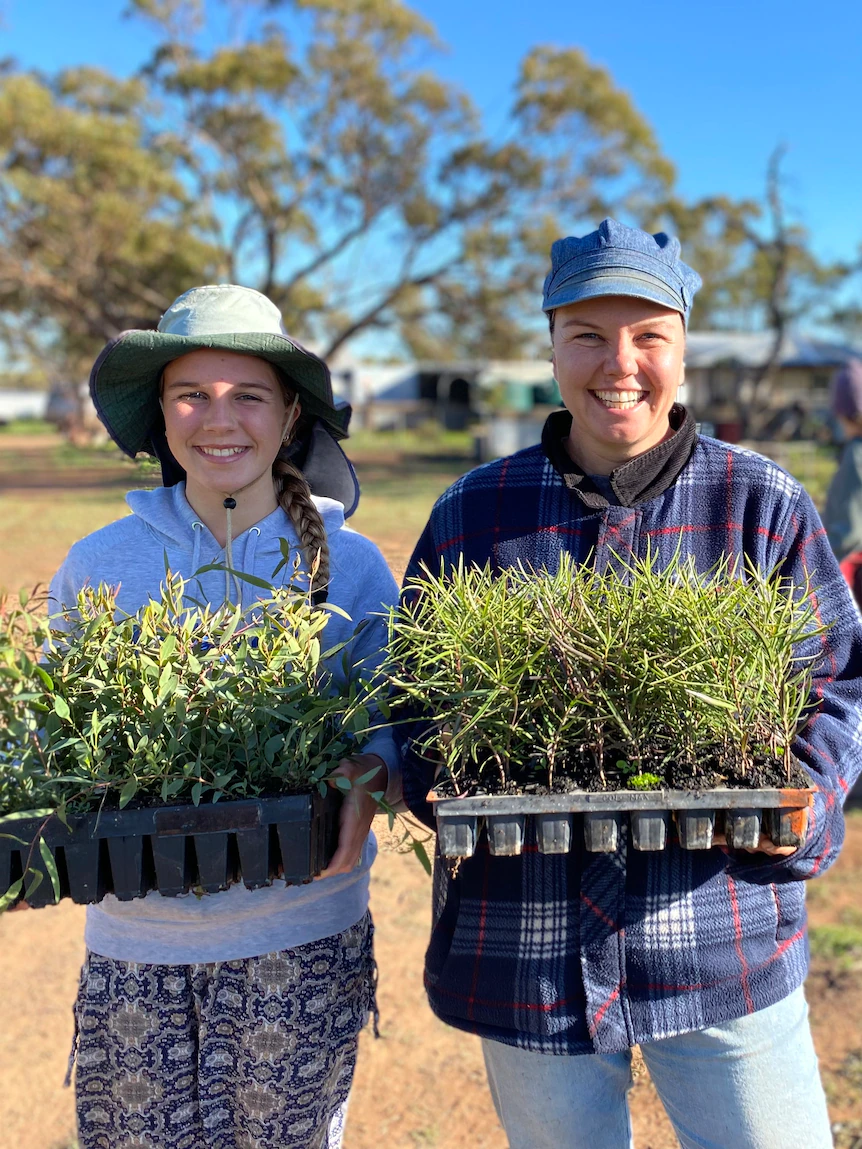 WA’s Wheatbelt welcomes 100,000 fresh trees to revive farmland