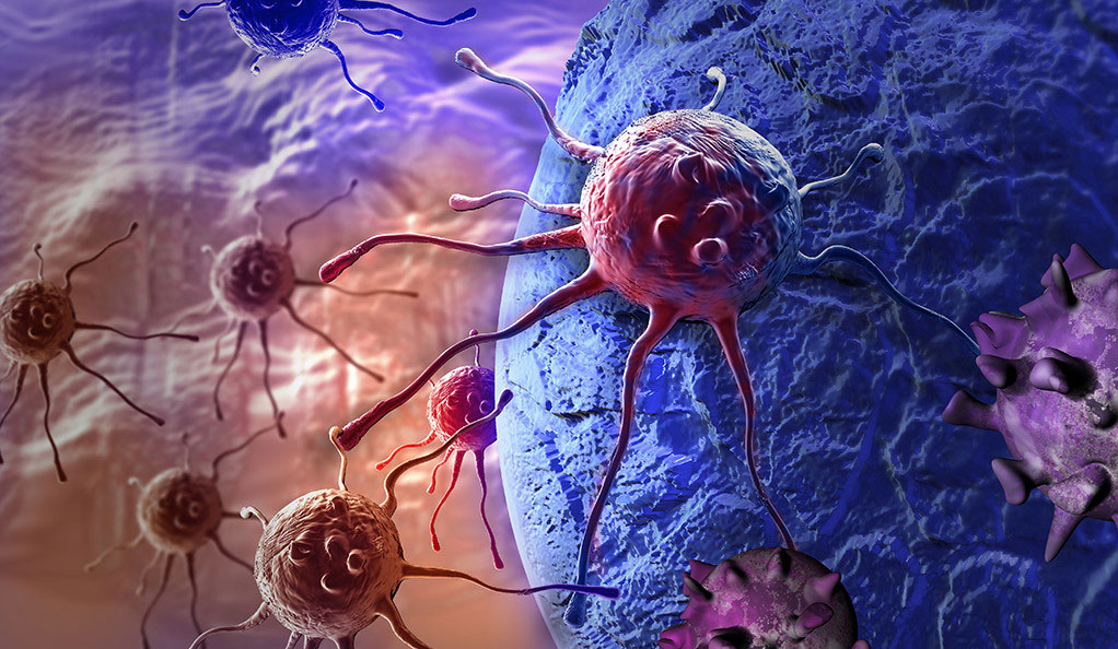 Harvard Researchers Possess Solved a Perplexing Most cancers Mystery