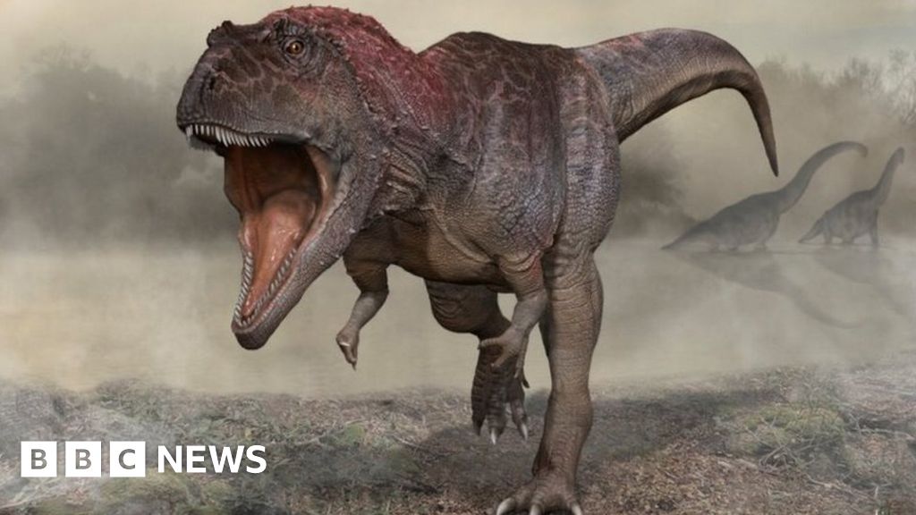 Dinosaur discovering hints at why T-rex had miniature hands