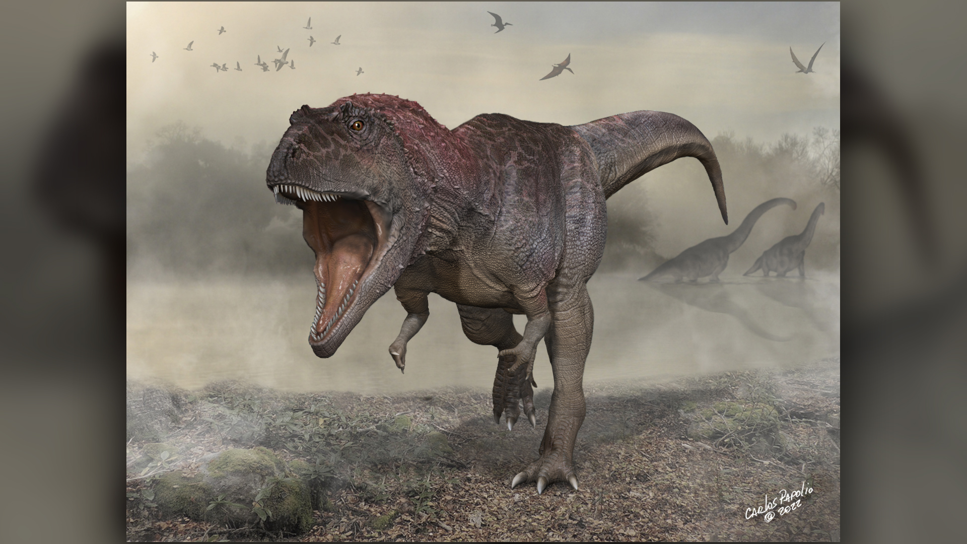 Big meat-ingesting dinosaur had a love skull and wee fingers cherish T. rex