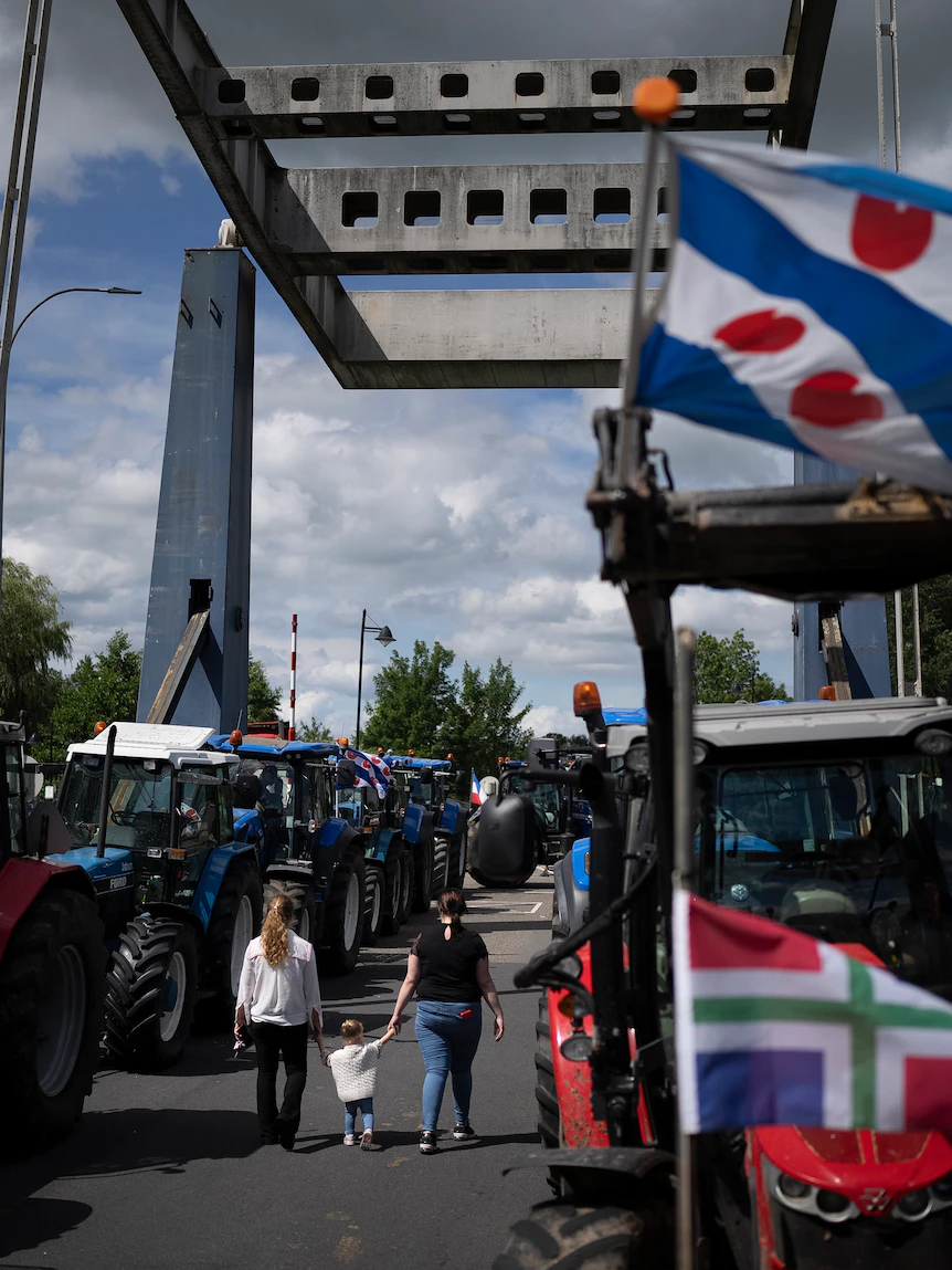 From highways to supermarkets: Mad farmers motive chaos everywhere in the Netherlands. What goes on on?