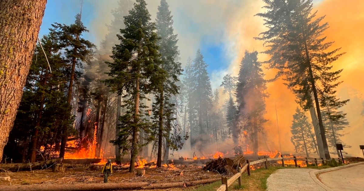 Wildfire nears smartly-known region in California’s Yosemite Nationwide Park