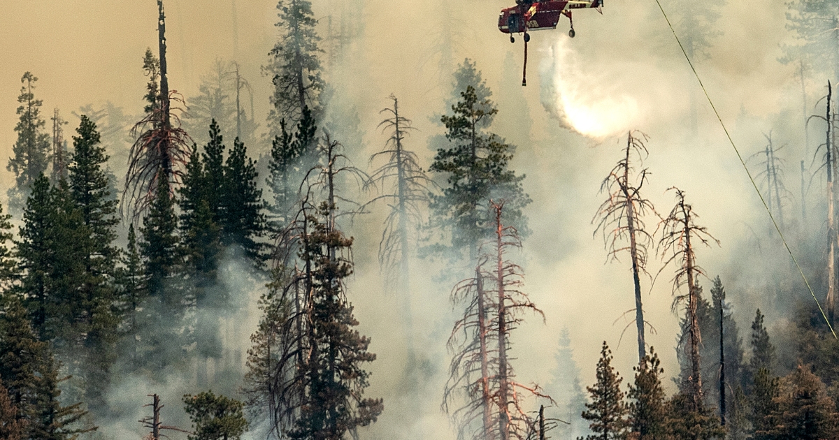 Yosemite fire grows as crews try and provide protection to iconic massive sequoias