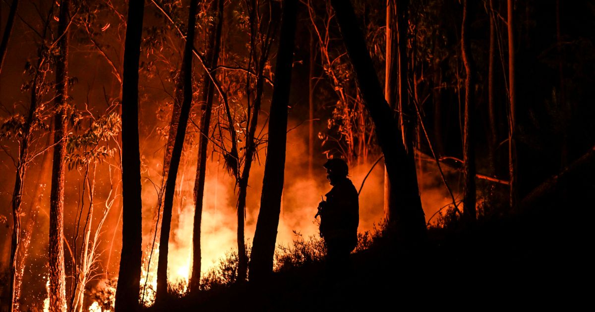 Portugal deploys 3,000 firefighters to battle heatwave blazes