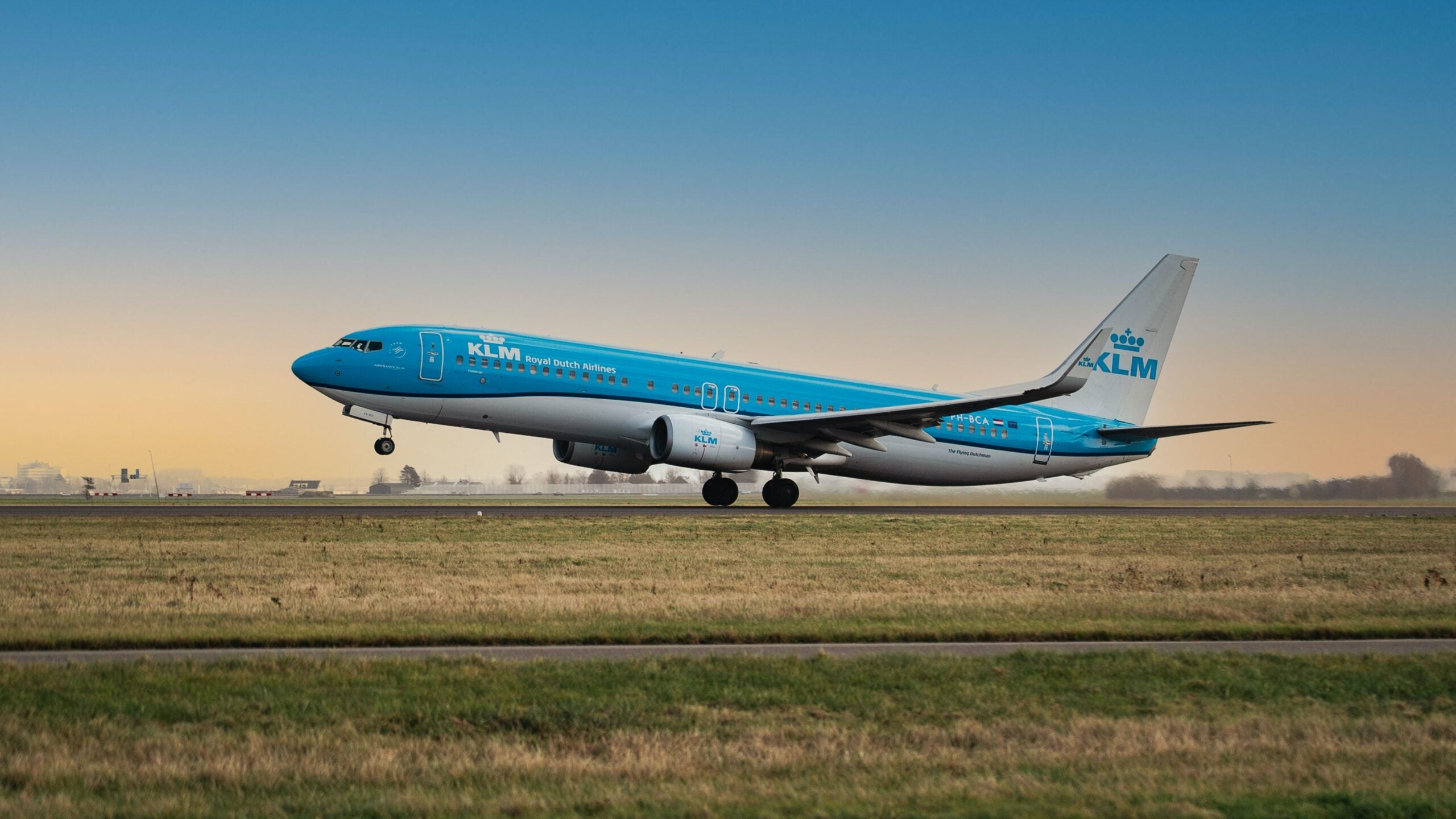 Greenwashing lawsuit in opposition to Dutch airline is the predominant of its form