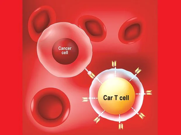 Cell-therapy medication for cancer in India may per chance additionally approach at 10% of US value – Industry Long-established