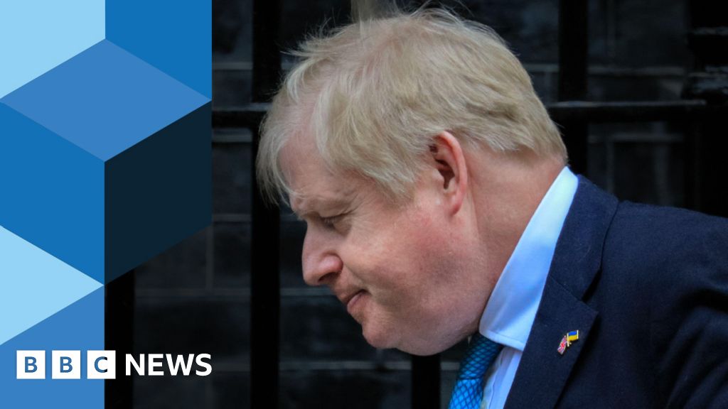 Boris Johnson: How will the novel Tory leader and PM be chosen?