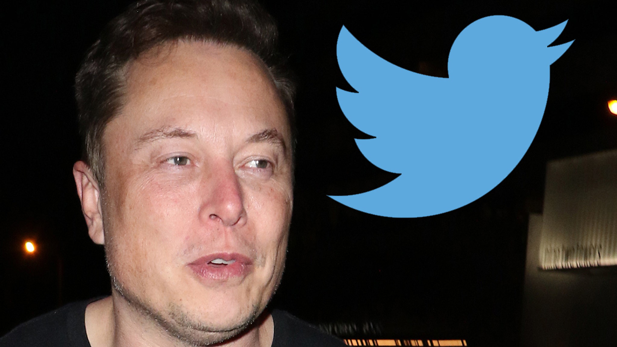 Twitter Sues Elon Musk for Backing Out of Have interaction