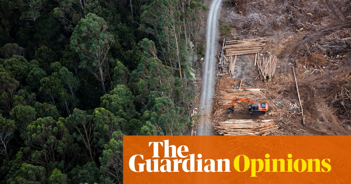 Australia’s farcical climate policy: market forces to minimize emissions and subsidies to crash carbon sinks – The Guardian