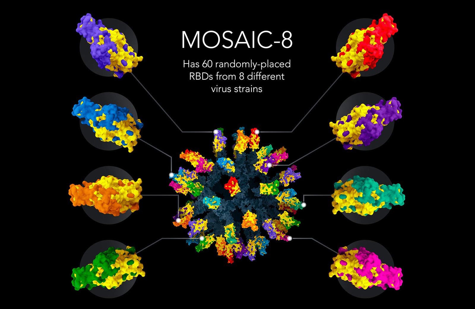 Caltech’s Nanoparticle Vaccine Protects Towards a Wide Vary of COVID-19-Causing Variants and Linked Viruses