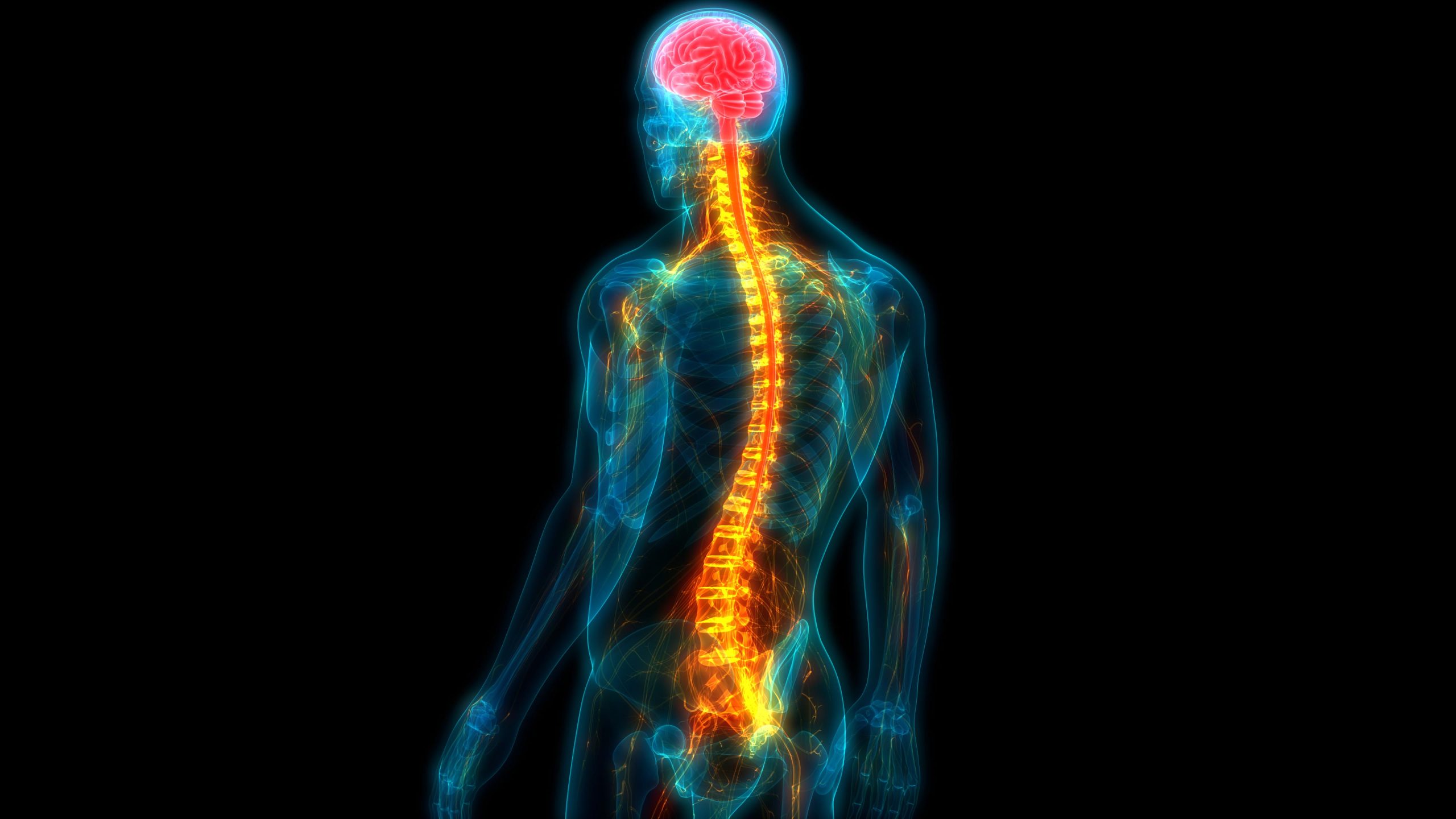 Overview Shows Investigational Most cancers Drug Can Enhance Regeneration of Damaged Nerves After Spinal Cord Hurt