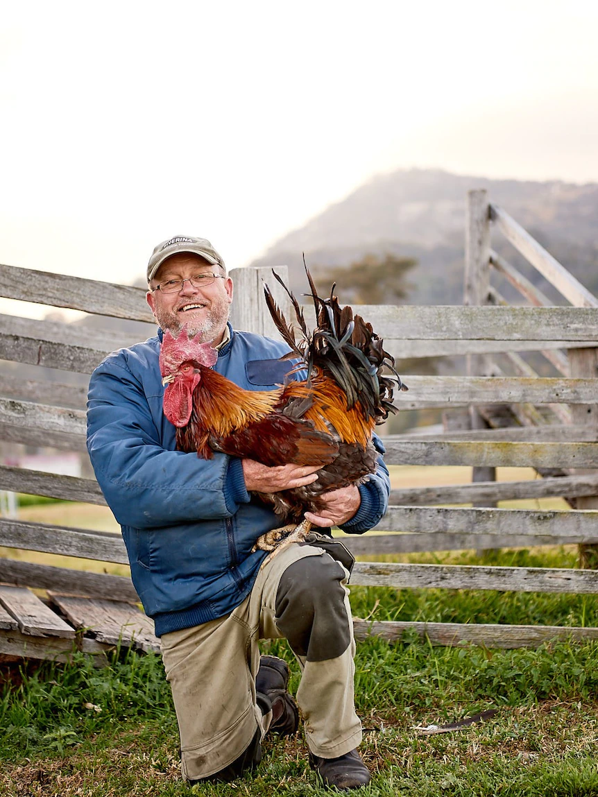 Michael did not esteem the chickens in the supermarket — so he made his maintain