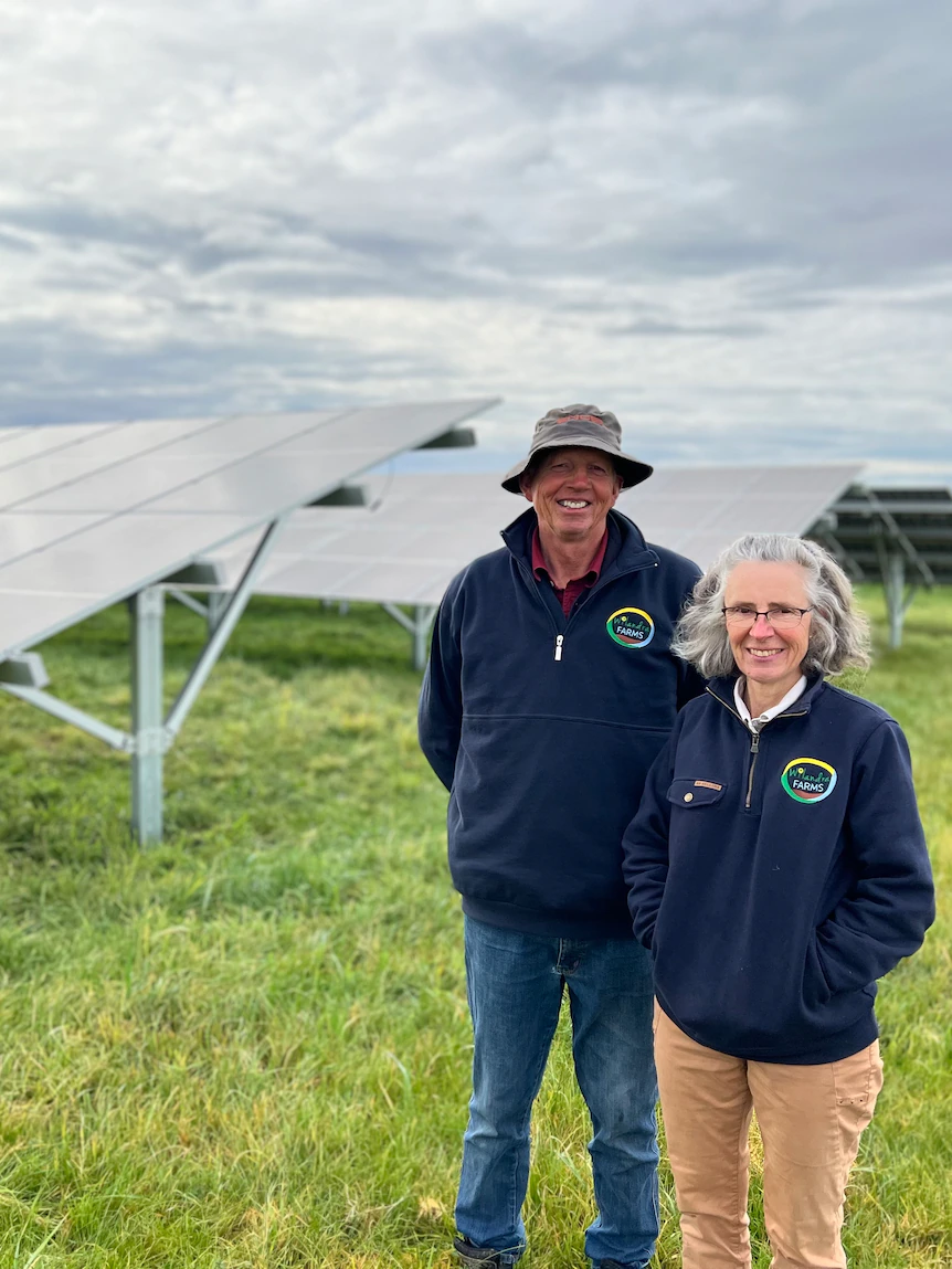 How a serious funding in solar slashed vitality funds for these dairy farmers