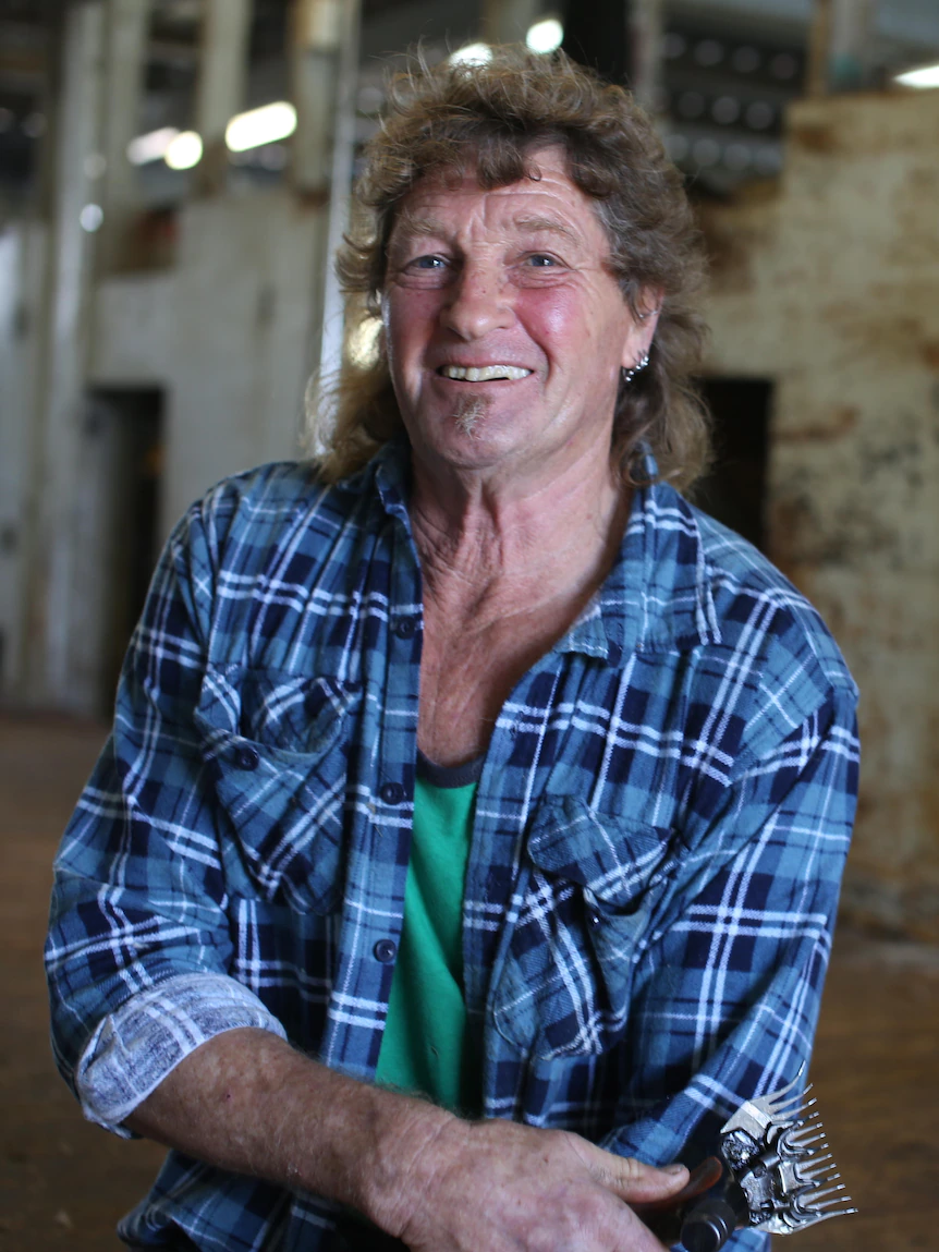 Sheep delight in gotten greater within the 49 years since Rocky started shearing. Contemporary skills might perhaps presumably even lighten the load