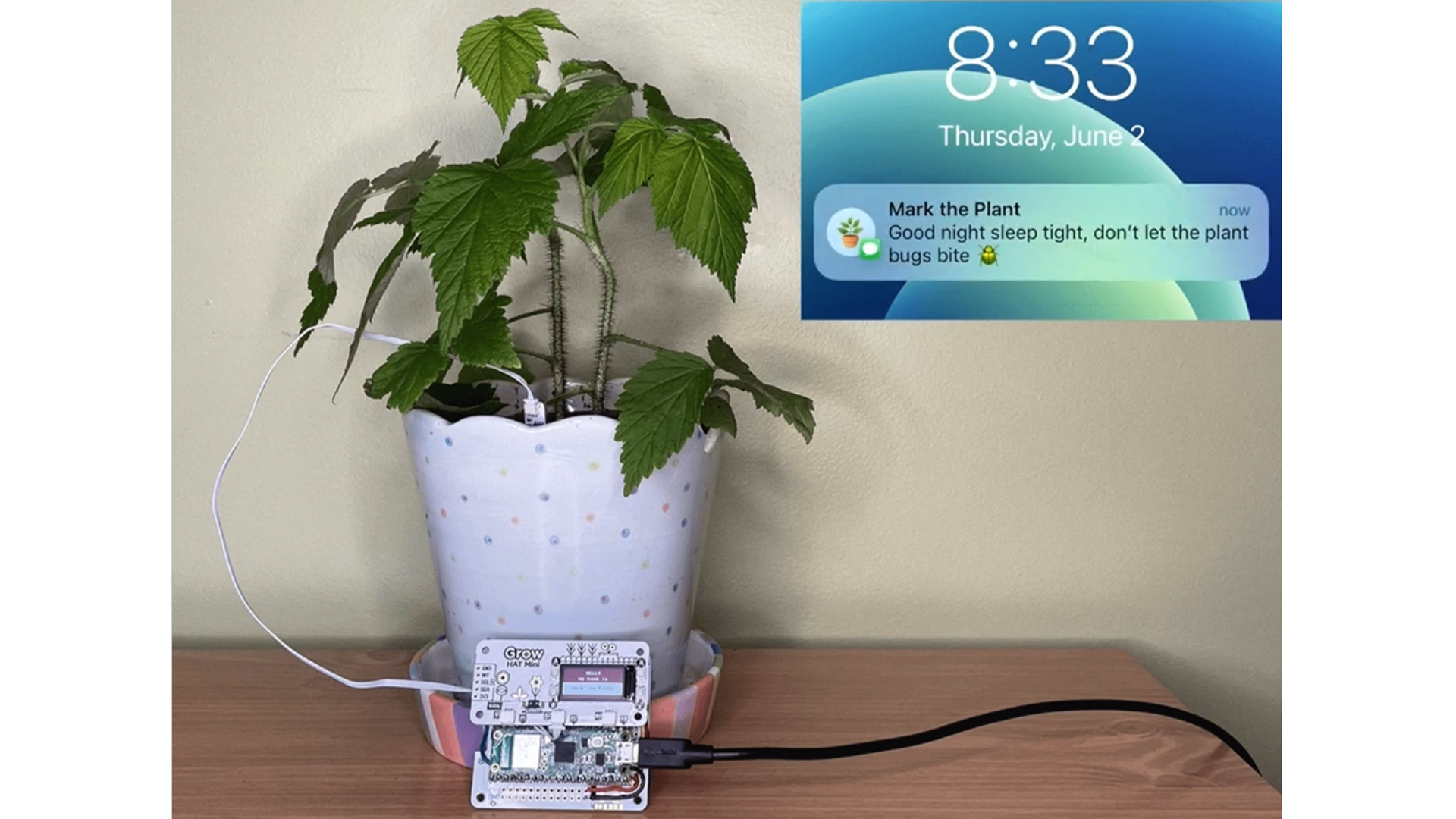 Houseplants Earn Addicted to Texting with the Raspberry Pi Pico W