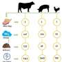 Nitrogen footprint: Heavy pollution and helpful resource losses resulting from liquid manure