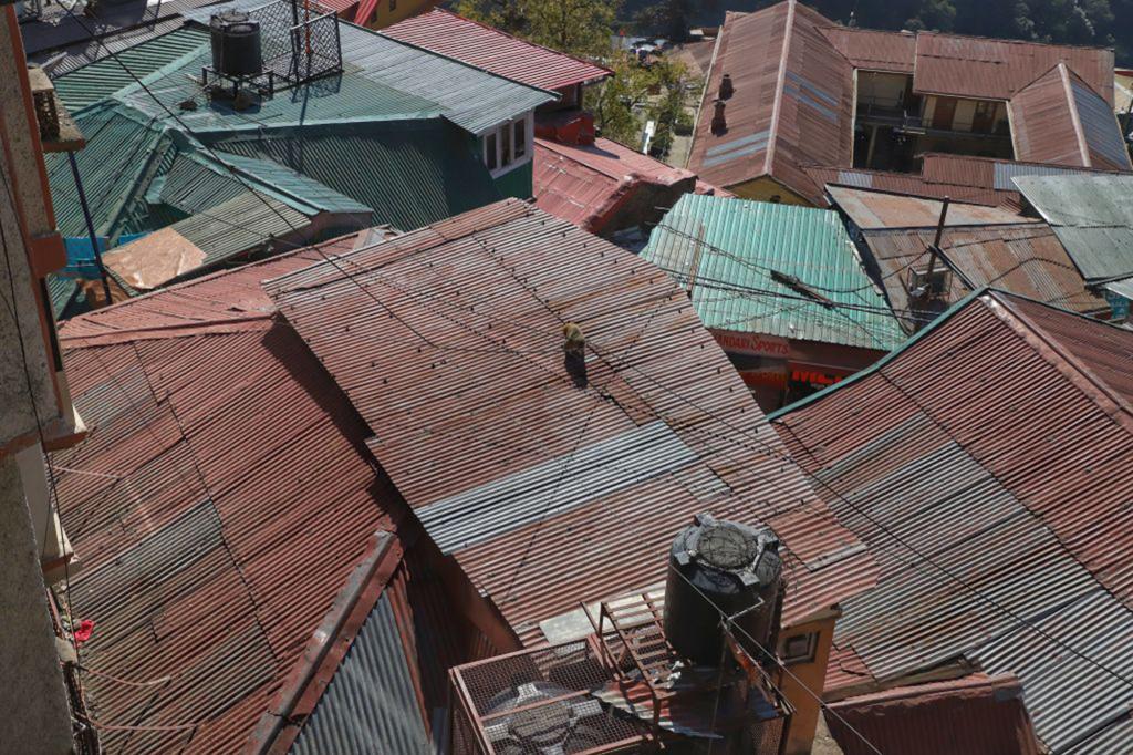 Monkeys in India toss boy off third-memoir rooftop, killing him: reviews – Sleek York Publish