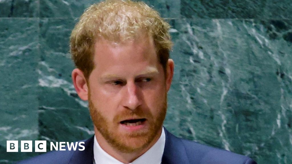 Prince Harry warns UN of international assault on freedom