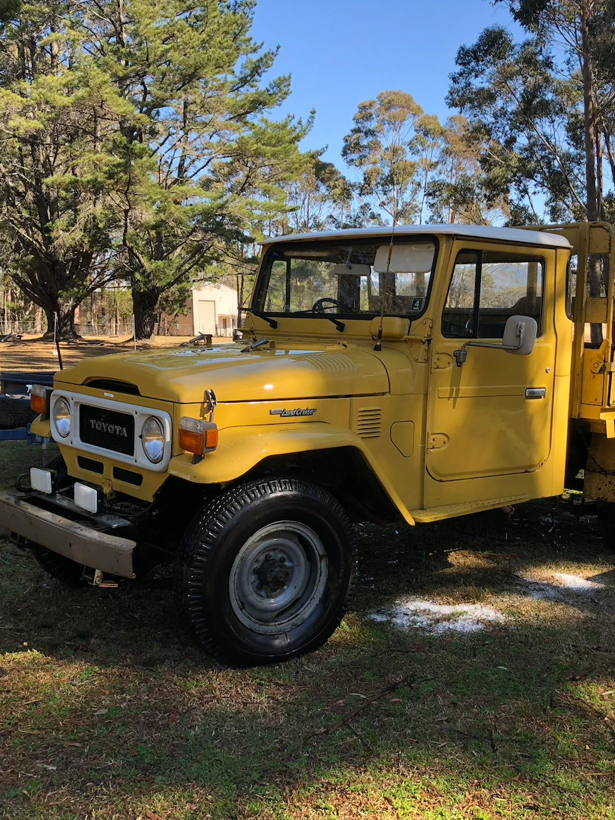 LandCruisers ‘better than money within the bank’ in sizzling 2nd-hand market, valuer says. But European badges within the dumps